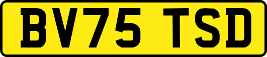 BV75TSD