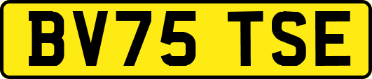 BV75TSE