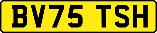 BV75TSH