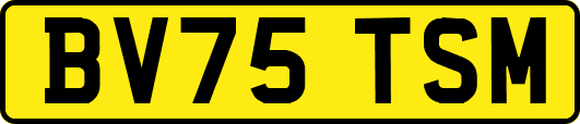 BV75TSM