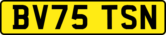 BV75TSN