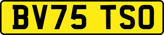 BV75TSO
