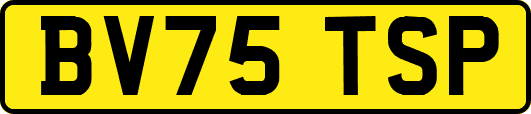 BV75TSP