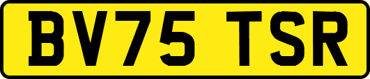 BV75TSR