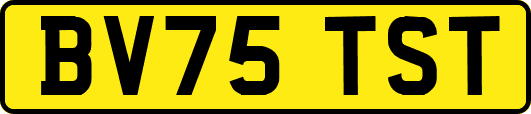 BV75TST