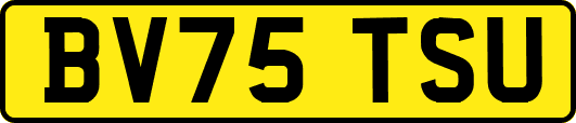 BV75TSU