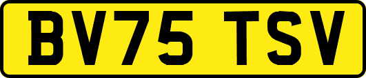 BV75TSV