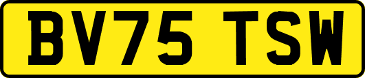 BV75TSW