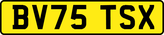 BV75TSX