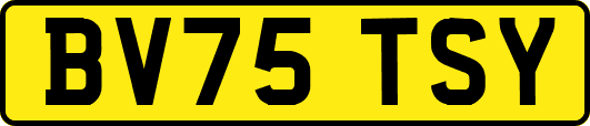 BV75TSY