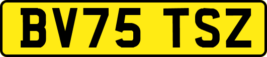 BV75TSZ