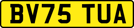 BV75TUA