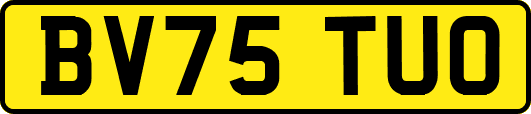 BV75TUO