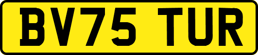 BV75TUR