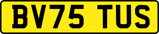 BV75TUS