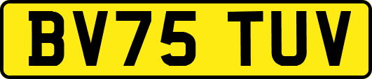 BV75TUV
