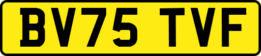 BV75TVF