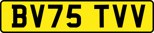 BV75TVV