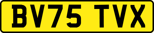 BV75TVX