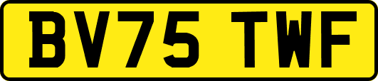BV75TWF