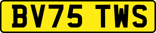 BV75TWS