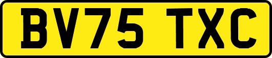 BV75TXC