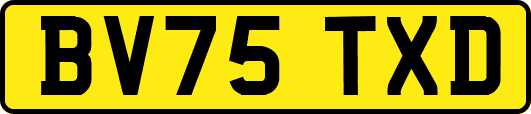 BV75TXD