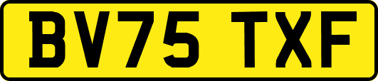 BV75TXF