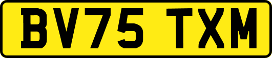 BV75TXM