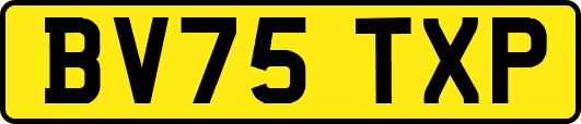 BV75TXP