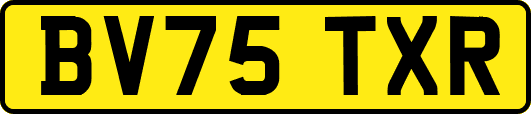 BV75TXR