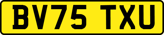 BV75TXU