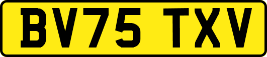 BV75TXV