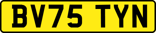 BV75TYN