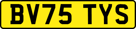 BV75TYS