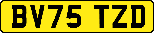 BV75TZD