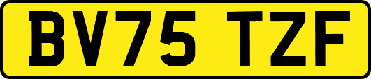 BV75TZF