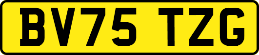 BV75TZG