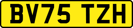 BV75TZH