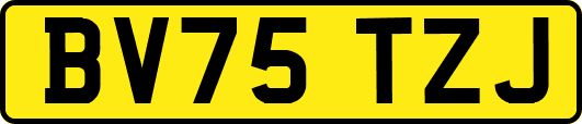 BV75TZJ
