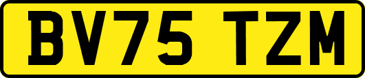 BV75TZM