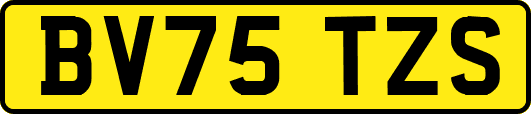 BV75TZS