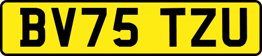BV75TZU