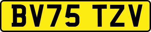 BV75TZV
