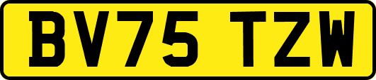 BV75TZW