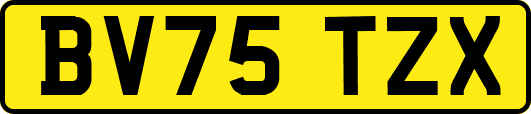 BV75TZX