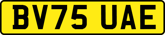 BV75UAE