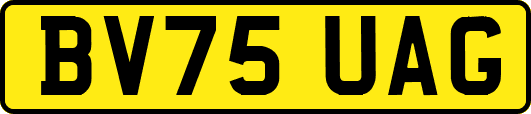 BV75UAG