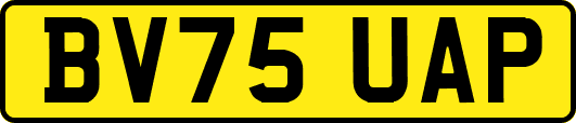 BV75UAP