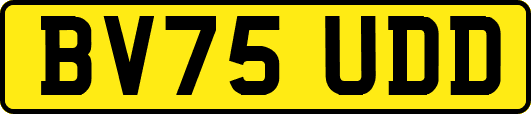 BV75UDD